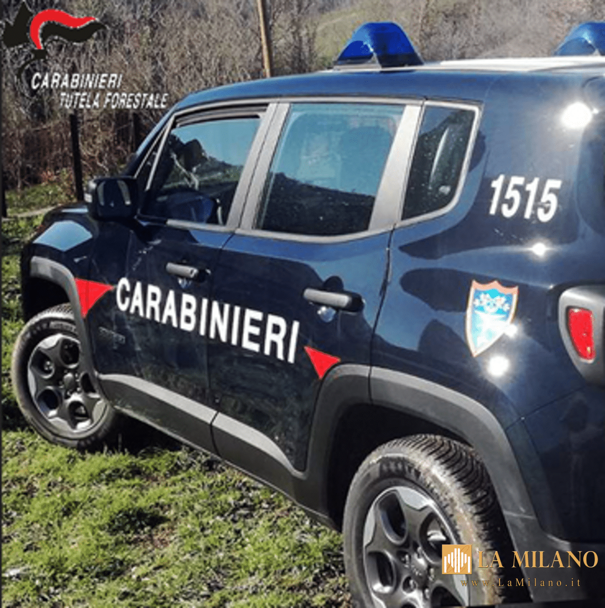 Carabinieri Forestali: Denunciato un 50enne per combustione illecita di rifiuti a Collesalvetti
