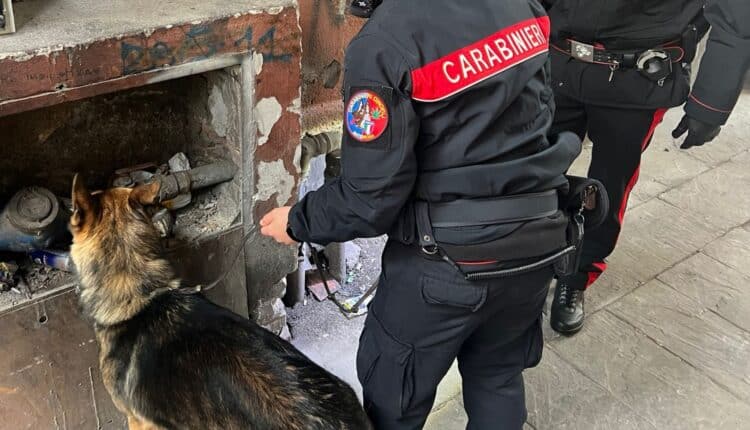 Roma: "Delivery della droga". Altre 6 misure cautelari per traffico di cocaina e crack