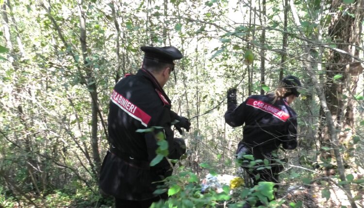 Operazione "rastrello" nel senese: droga, armi e arresti in tutta la provincia