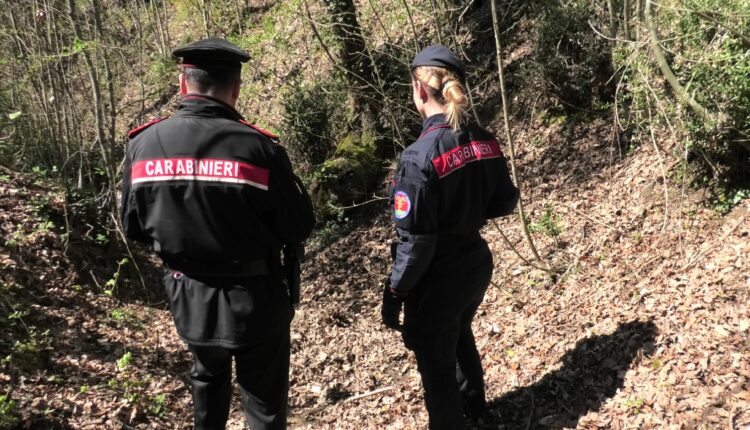 Operazione "rastrello" nel senese: droga, armi e arresti in tutta la provincia