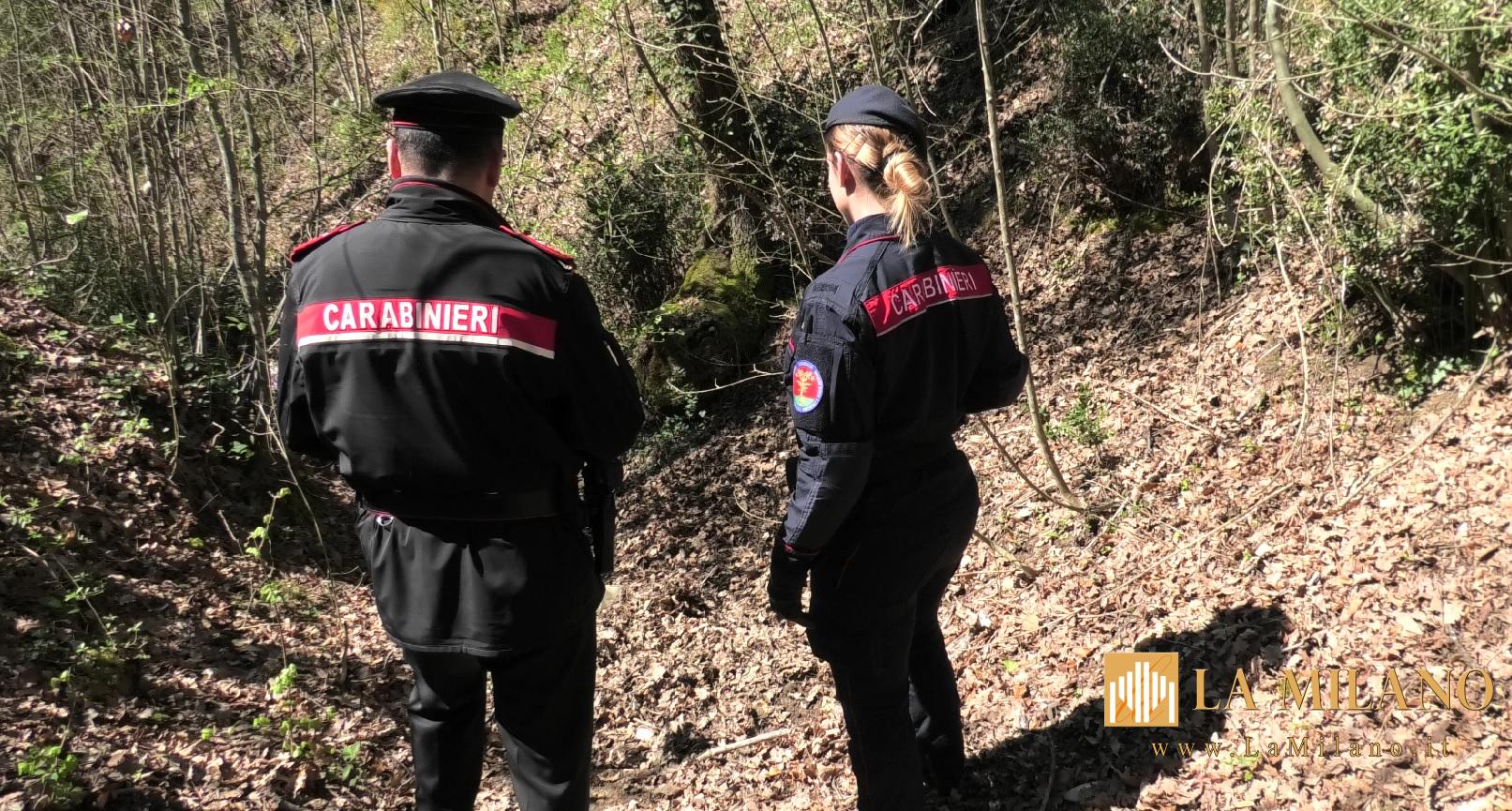 Operazione "rastrello" nel senese: droga, armi e arresti in tutta la provincia