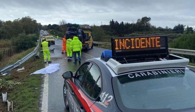 Piacenza, boom di incidenti con animali selvatici: 4 casi in un solo giorno