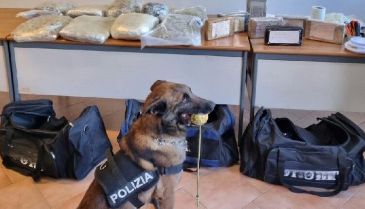 Napoli: scoperto e arrestato 47enne con oltre 17 kg di droga in casa.