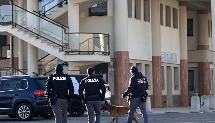 Crotone, bambina azzannata da un cane al guinzaglio: Sanzionata e denunciata la padrona