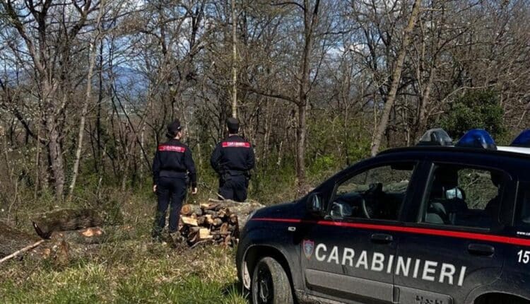 Castelnuovo Berardenga, scoperto bivacco nei boschi: Carabinieri sequestrano hashish e bilancino