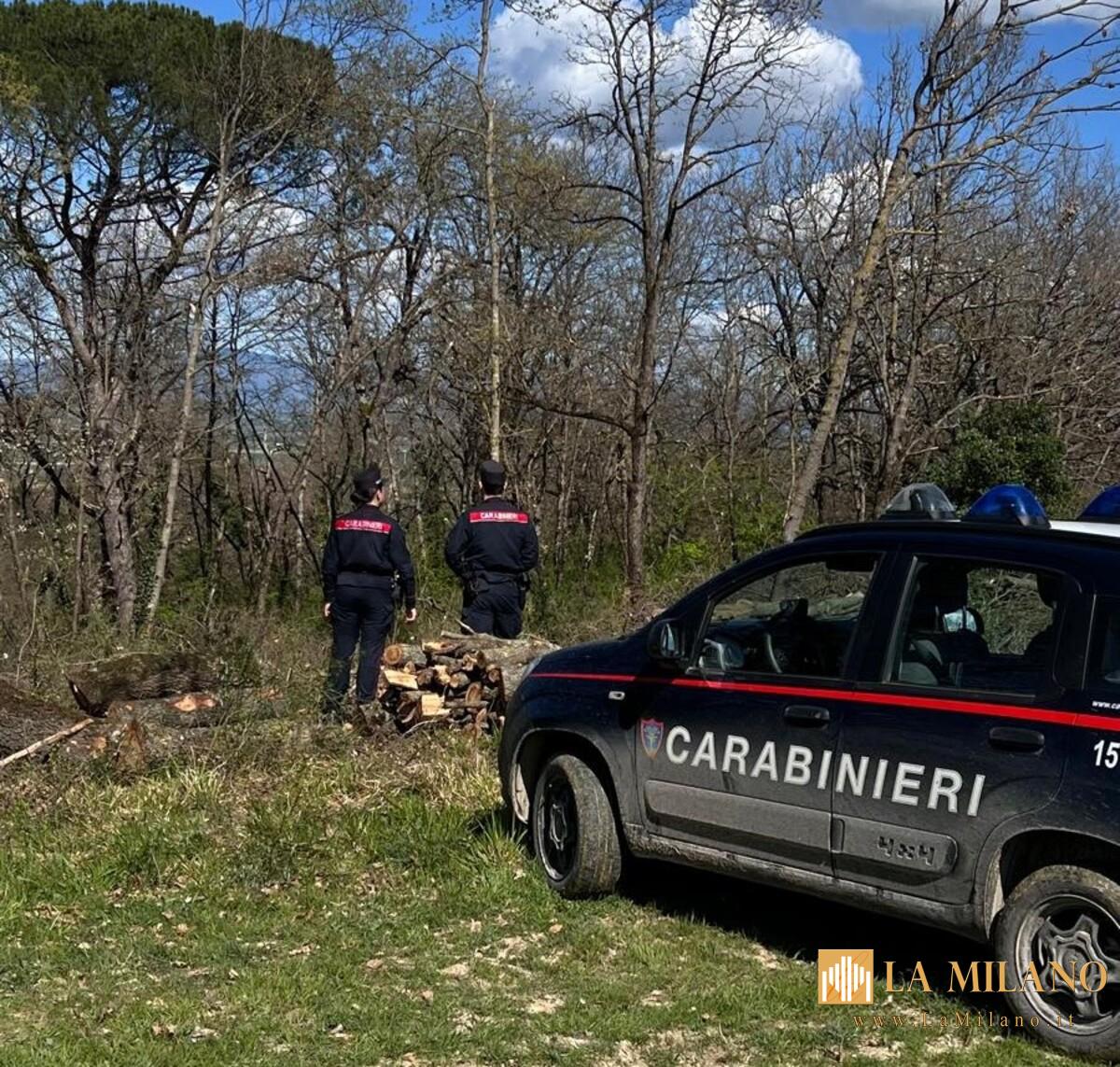 Castelnuovo Berardenga, scoperto bivacco nei boschi: Carabinieri sequestrano hashish e bilancino