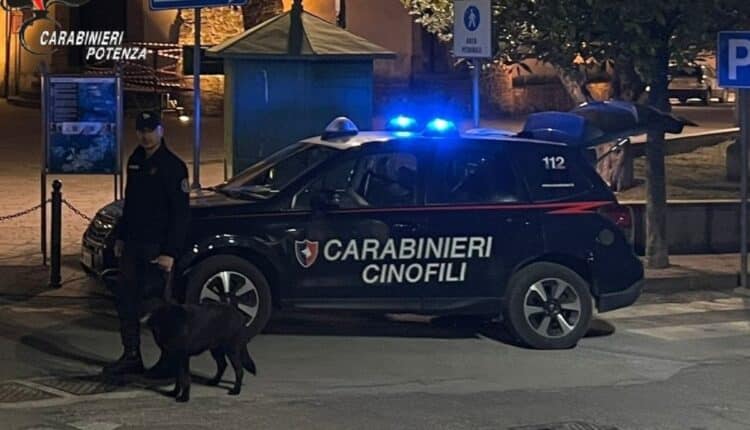 Brienza, droga e kit per coltivazione in casa: Arrestato 40enne dai Carabinieri
