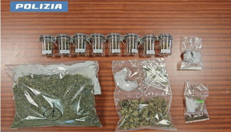 Bolzano, trasforma due appartamenti in serra di droga e deposito di anabolizzanti: Arrestato 31enne