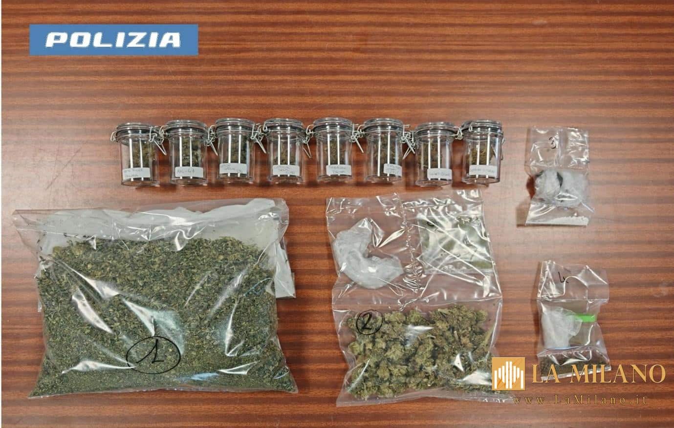 Bolzano, trasforma due appartamenti in serra di droga e deposito di anabolizzanti: Arrestato 31enne