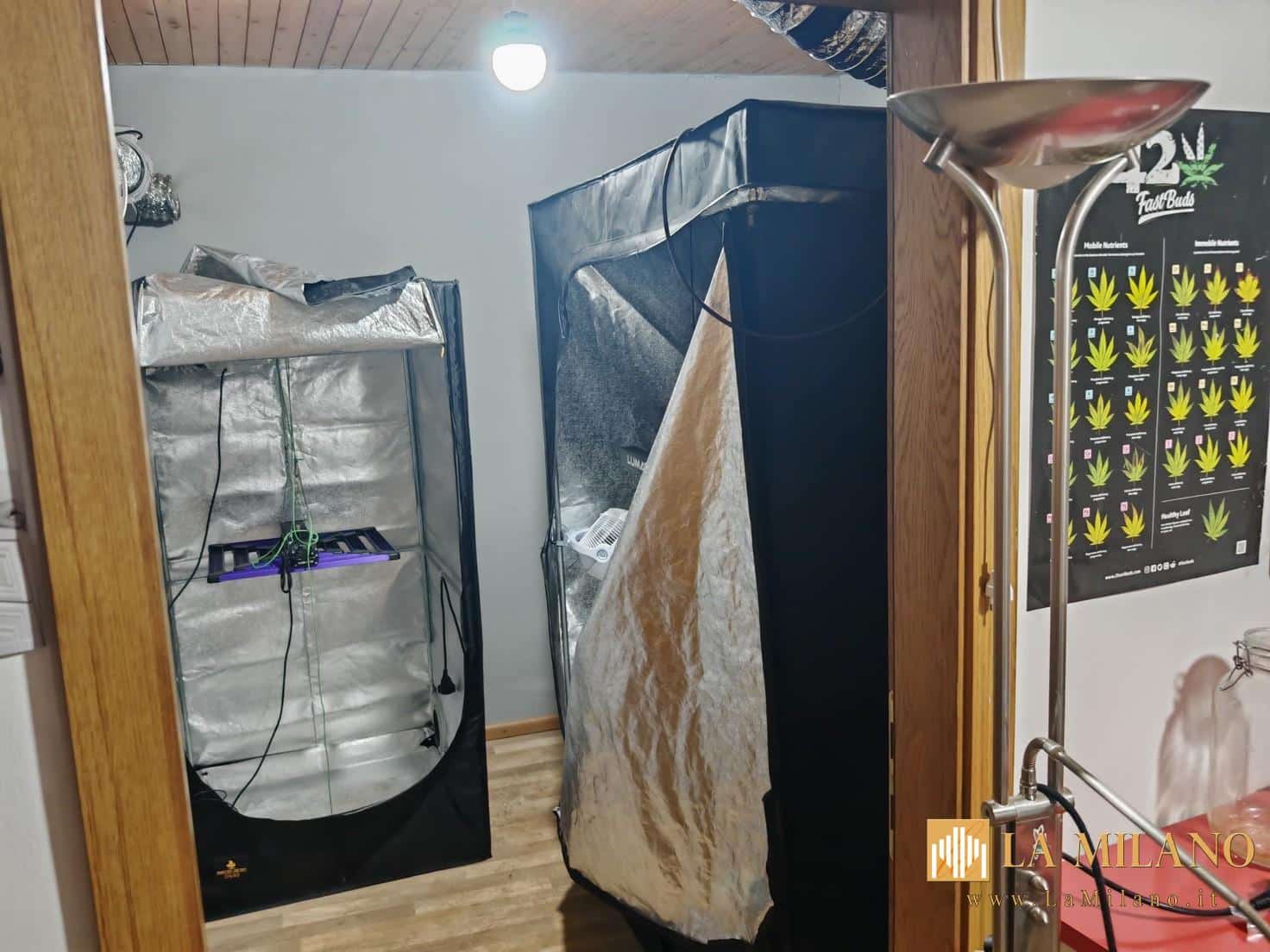 Bolzano, trasforma due appartamenti in serra di droga e deposito di anabolizzanti: Arrestato 31enne