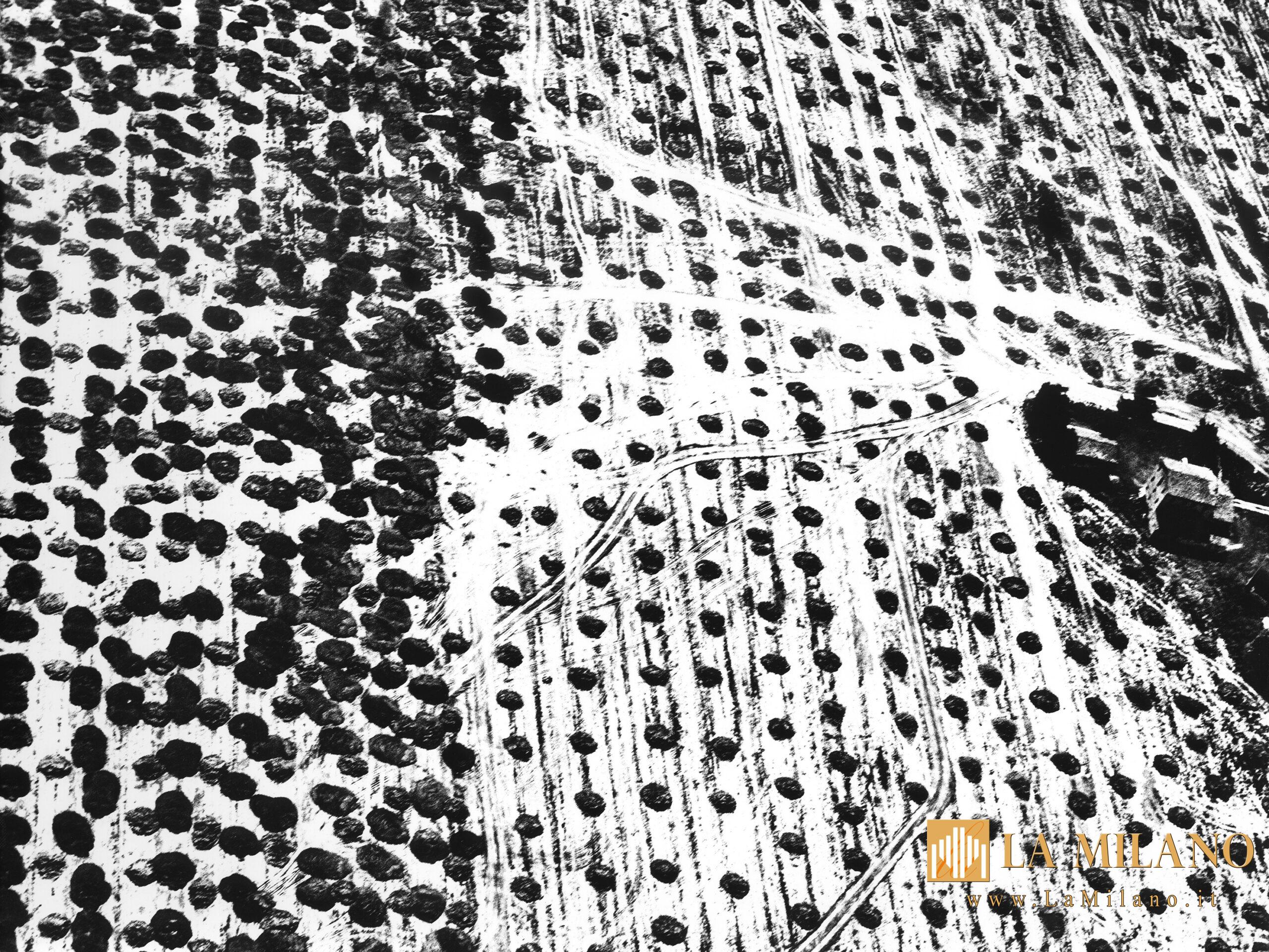 Mario Giacomelli tra fotografia e poesia: una mostra-evento a Palazzo Reale