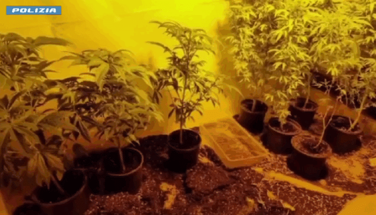 Droga, armi e riciclaggio: sgominata rete criminale internazionale tra Italia e Spagna