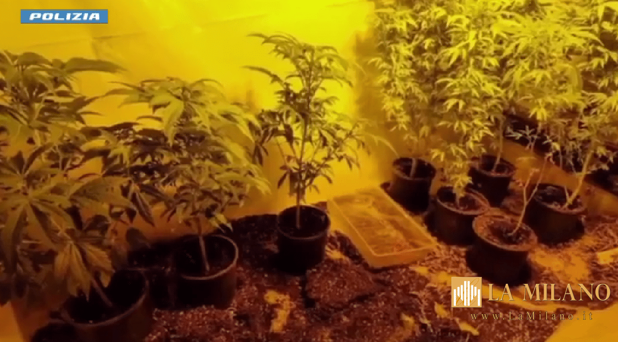 Droga, armi e riciclaggio: sgominata rete criminale internazionale tra Italia e Spagna