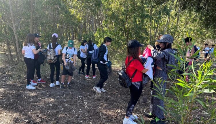 Studenti volontari impegnati nella giornata ecologica nella pineta di Torre Grande