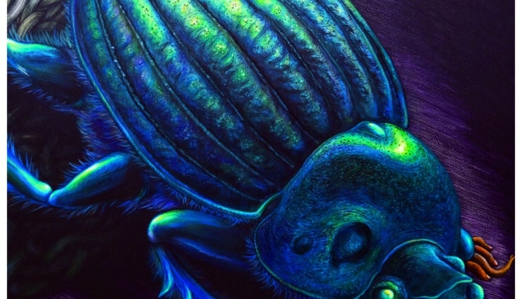 Modena celebra Bastardilla, icona della street art sudamericana, tra segno e impegno