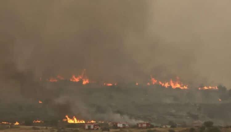 Israele, incendio a Gerusalemme sotto controllo: oltre 13.000 ettari in fumo, evacuazioni e feriti.