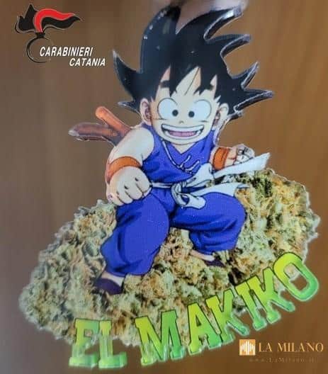 “El Makiko” nei guai: scoperto il suo deposito di droga a Catania