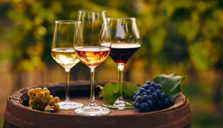 Vino italiano, in arrivo 98 milioni per l’export: “No a demonizzazioni”, dice Lollobrigida.