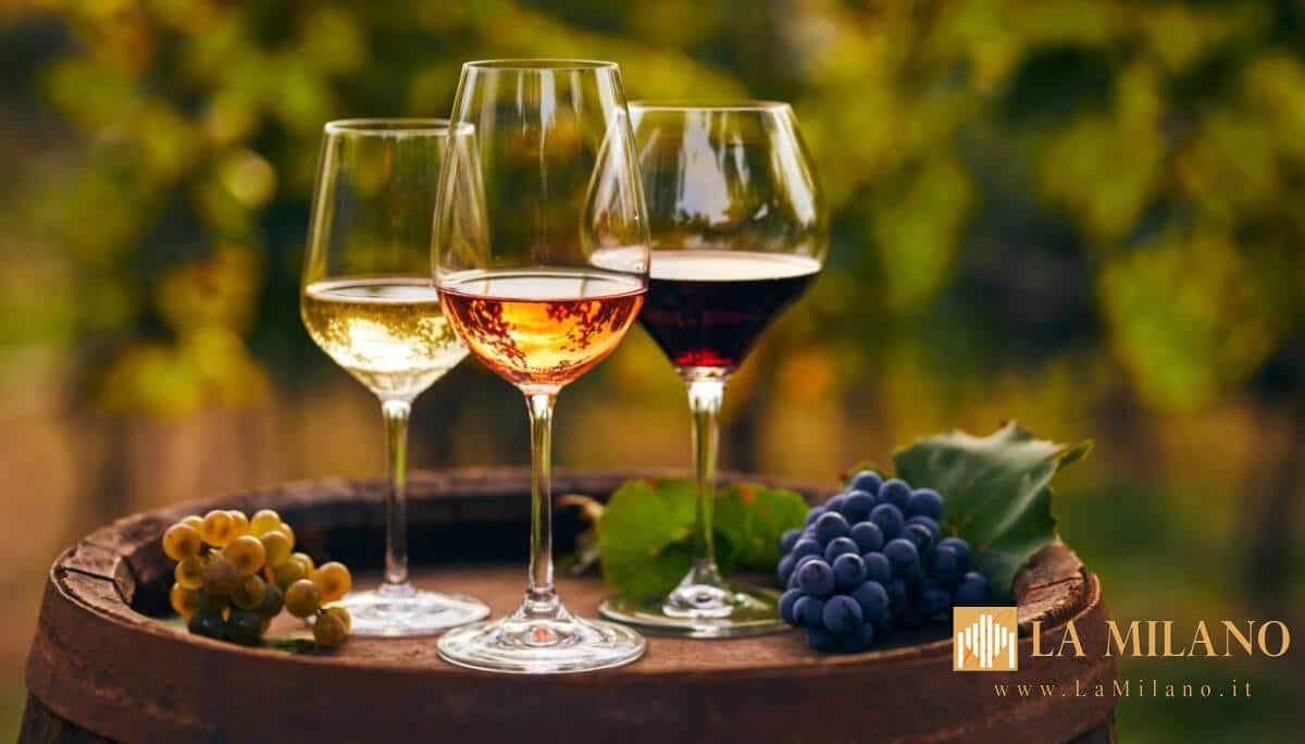 Vino italiano, in arrivo 98 milioni per l’export: “No a demonizzazioni”, dice Lollobrigida.