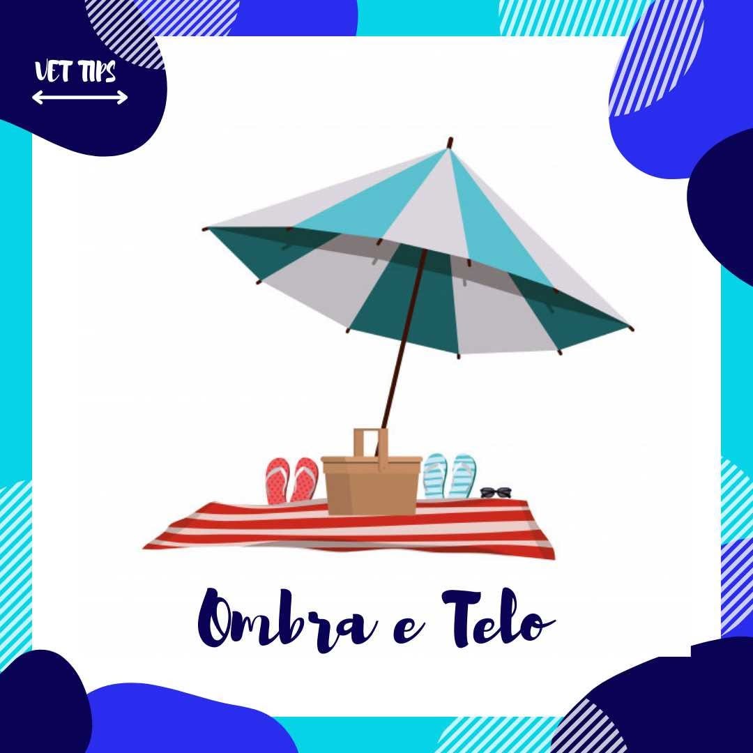 Vacanze al mare con il tuo cane Guida completa per la sicurezza e il benessere del tuo amico a quattro zampe