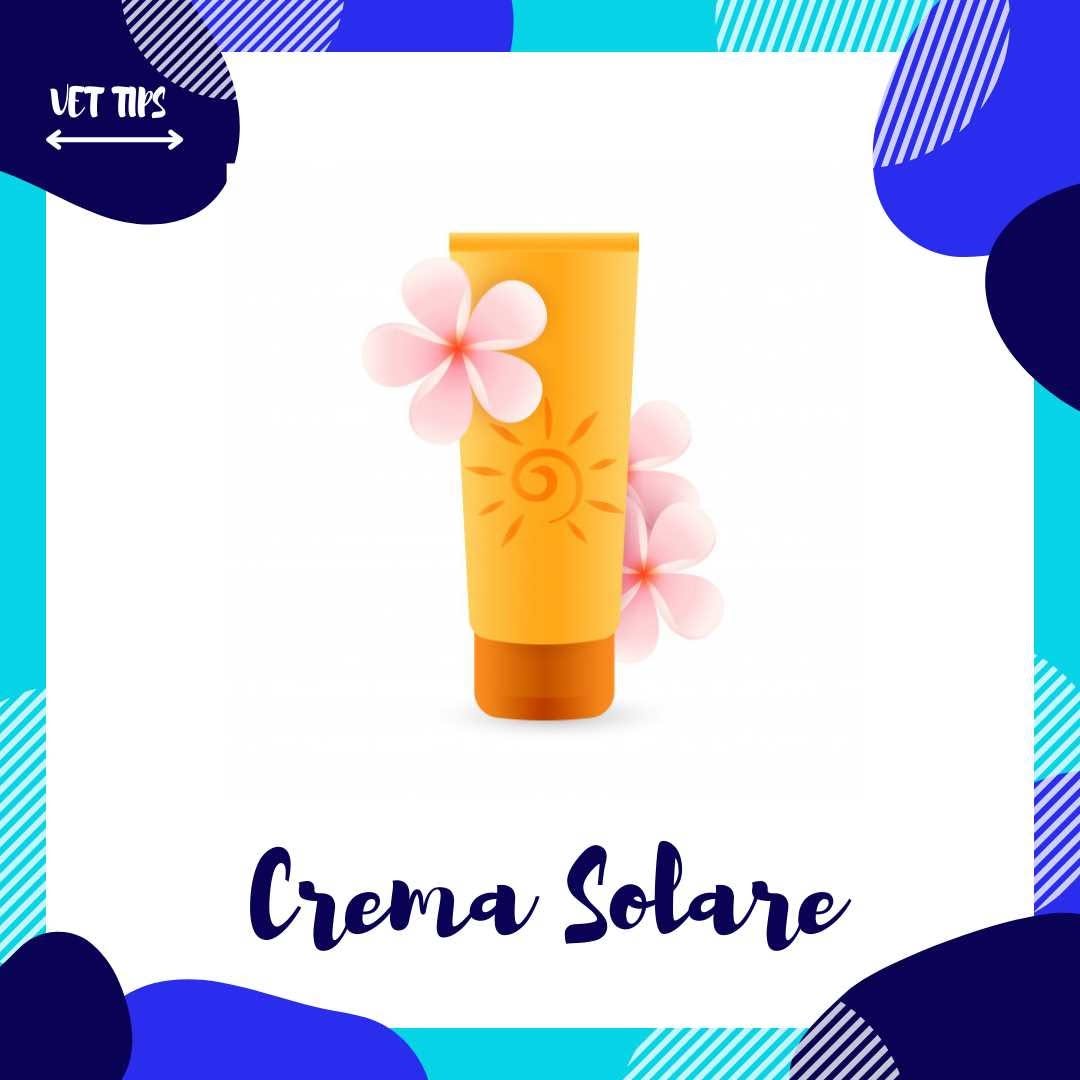 Vacanze al mare con il tuo cane Guida completa per la sicurezza e il benessere del tuo amico a quattro zampe