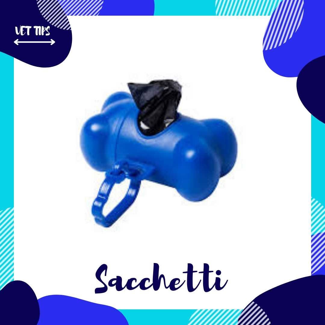 Vacanze al mare con il tuo cane Guida completa per la sicurezza e il benessere del tuo amico a quattro zampe