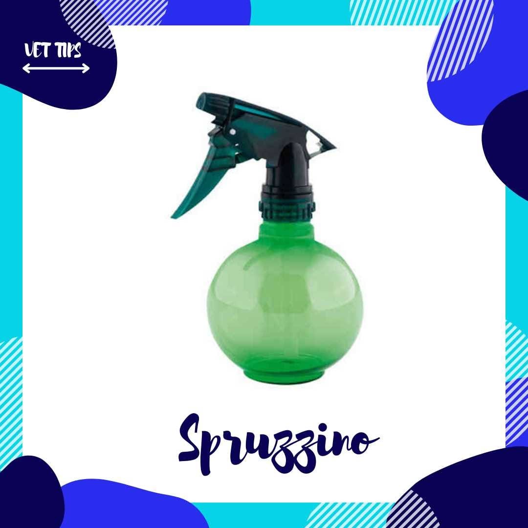 Vacanze al mare con il tuo cane Guida completa per la sicurezza e il benessere del tuo amico a quattro zampe