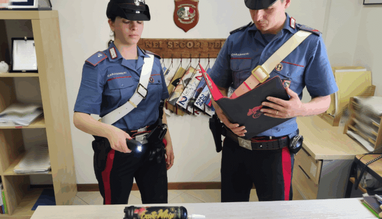 Anzola dell’Emilia: minorenni sorpresi con taser e gas esilarante al parco pubblico