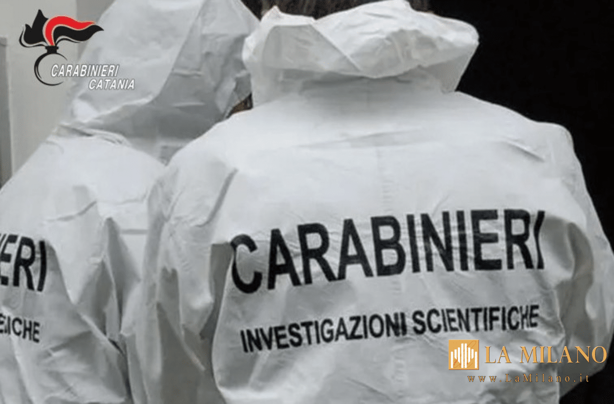 Delitto nella casa contesa: 63enne assassinato, rancori e vendetta dietro l’omicidio