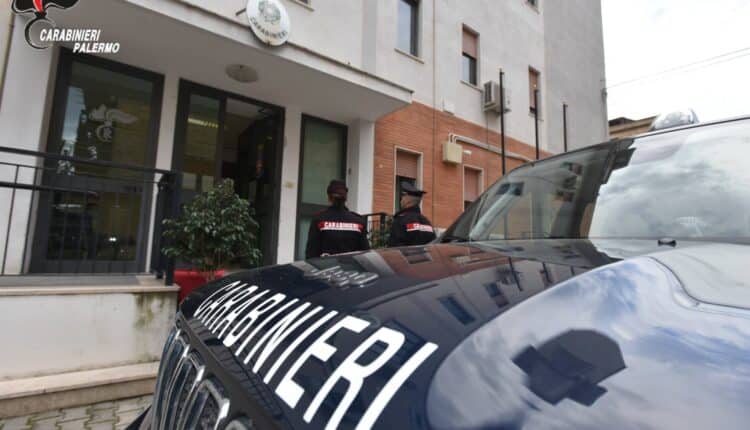 Fauna protetta, blitz dei Carabinieri: sequestrate circa 20 tartarughe a Mezzojuso