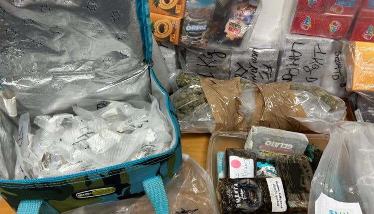 Roma, 16 kg di droga in casa: arrestato 42enne, stupefacenti ovunque anche vicino a una bambina