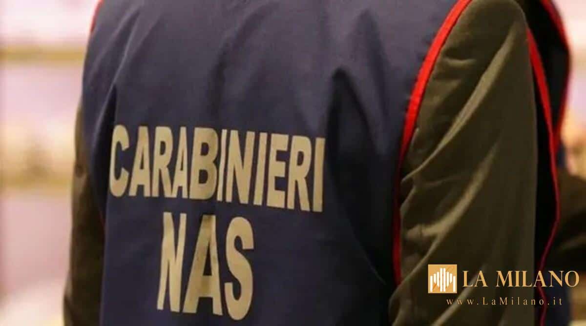 Livorno, bar pasticceria chiuso dal NAS