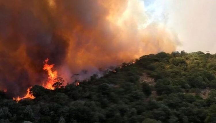Pula, arrestato il presunto responsabile dell'incendio: il plauso della Regione al Corpo Forestale