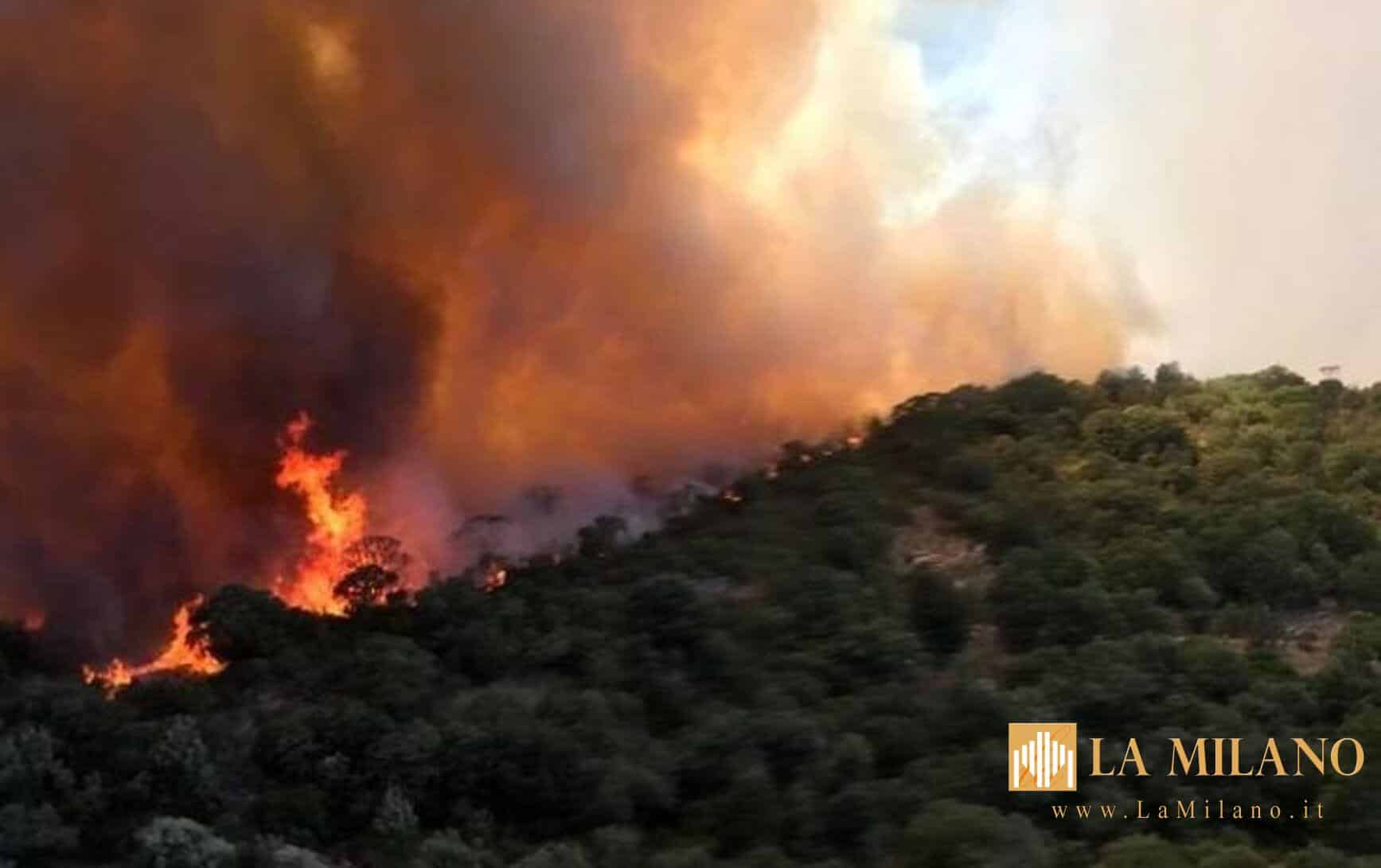 Pula, arrestato il presunto responsabile dell'incendio: il plauso della Regione al Corpo Forestale