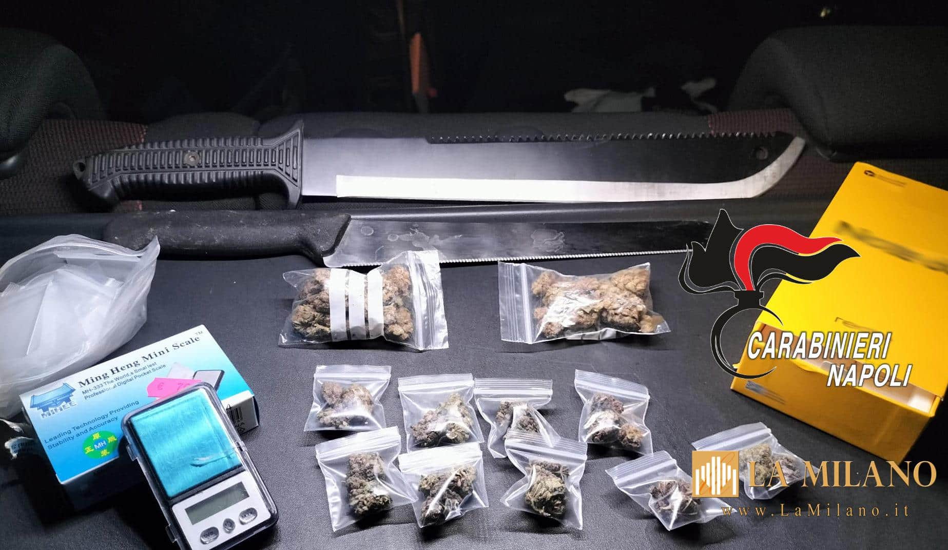 San Sebastiano al Vesuvio e Massa di Somma: controlli anti-spaccio e movida, scattano un arresto e sequestri