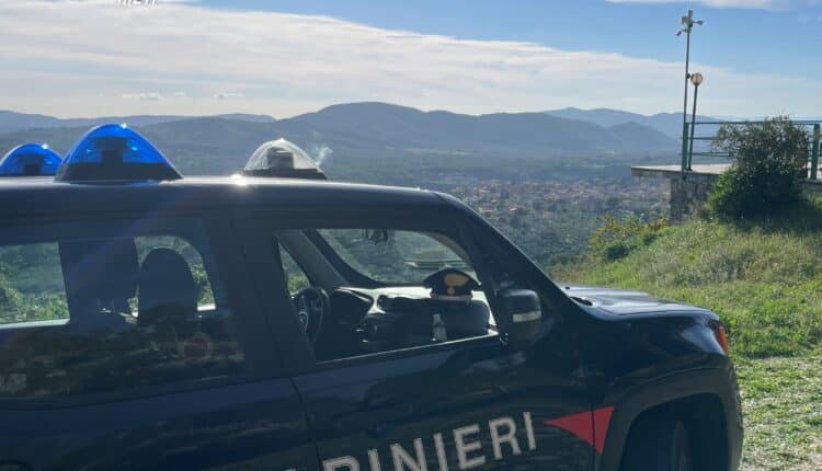 Manovra pericolosa dell’ex: incidente sulla Strada Provinciale Licinese, due denunce