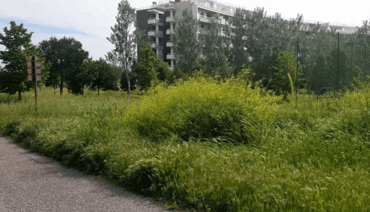 ‘Pacchetti benessere’ con droga e sesso: chiusa casa di appuntamenti a Roma