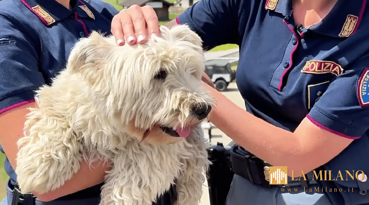 Polizia di Stato: online il nuovo spot contro l’abbandono degli animali