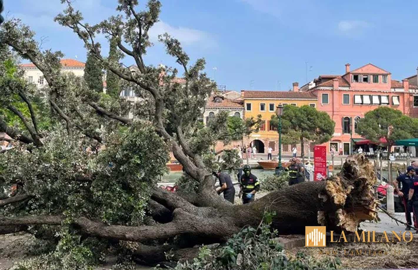 Venezia, albero crolla su turisti in attesa del bus: 12 feriti, due gravi