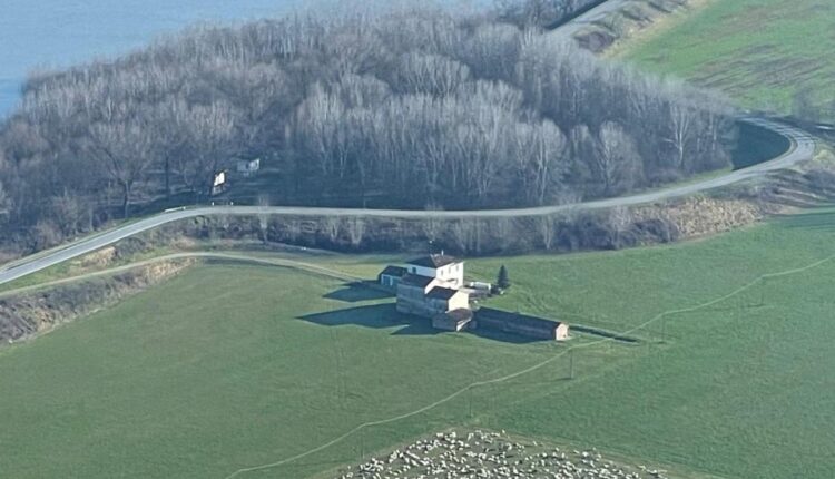 “Camporeale” di intimidazioni e sfruttamento: Arrestato pastore siciliano nella Bassa Mantovana