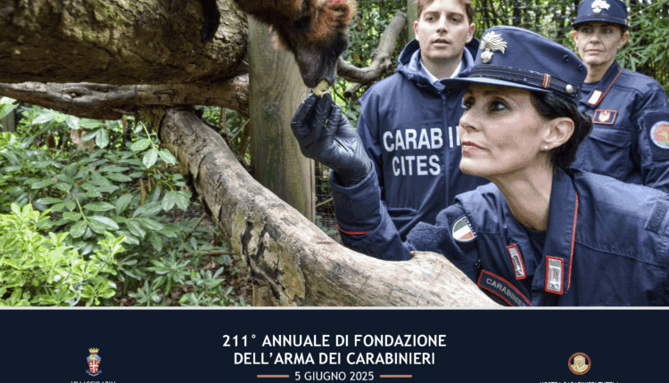 Carabinieri, 211 anni tra la gente: a Villa Borghese il “Villaggio Arma” celebra storia, innovazione e legalità.