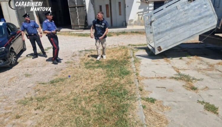 “Camporeale” di intimidazioni e sfruttamento: Arrestato pastore siciliano nella Bassa Mantovana