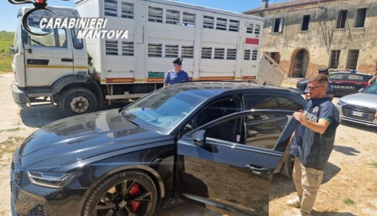 “Camporeale” di intimidazioni e sfruttamento: Arrestato pastore siciliano nella Bassa Mantovana