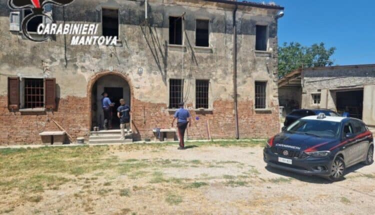 “Camporeale” di intimidazioni e sfruttamento: Arrestato pastore siciliano nella Bassa Mantovana