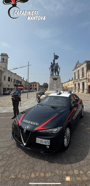 Viadana, furto nella notte al supermercato: rubati carne e pesce surgelato