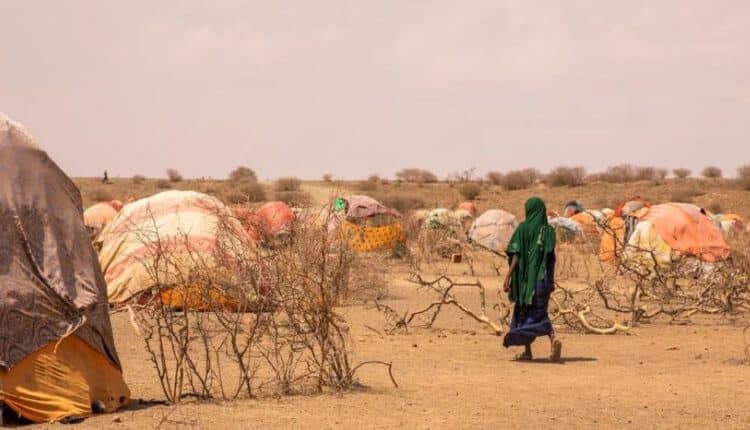 Oltre 122 milioni di sfollati nel mondo: l’allarme dell’ONU.