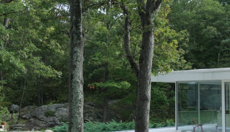 Milano celebra Remo Salvadori: mostra diffusa tra Palazzo Reale, Museo del Novecento e San Gottardo