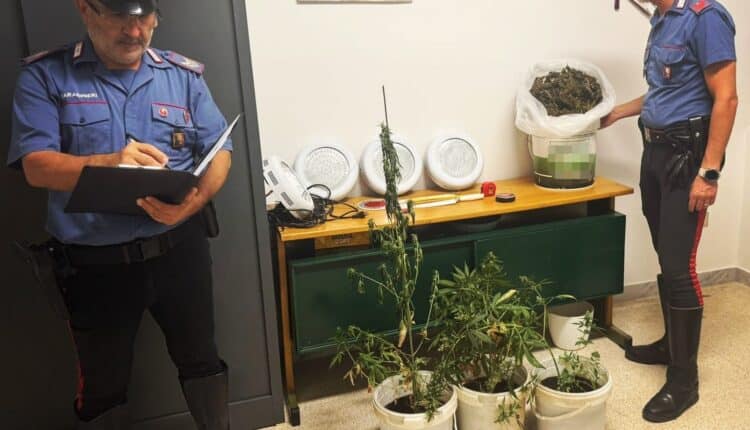 Lecce, 3 arresti in poche ore: Carabinieri sventano due aggressioni ed un furto