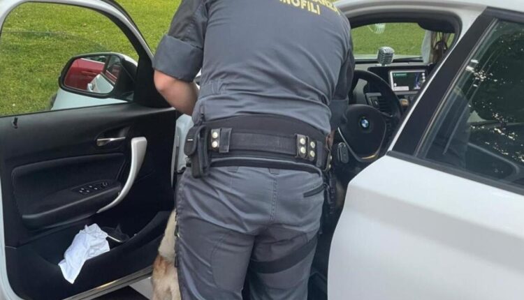 Alta Valle Intelvi, blitz antidroga della Guardia di Finanza: 11 segnalazioni