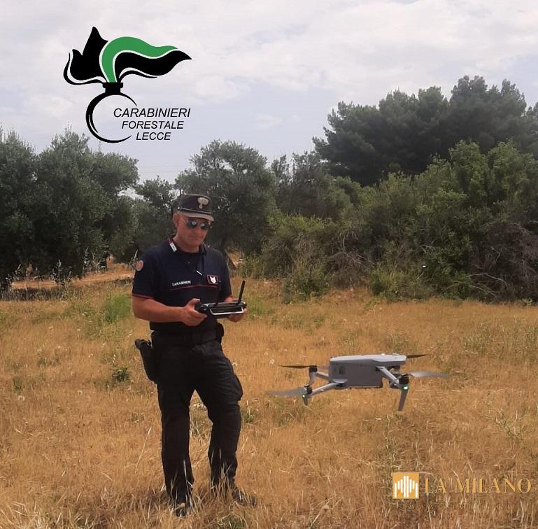 Seclì: sequestrata un'area di 3.000 mq con rifiuti speciali, denunciato il proprietario.